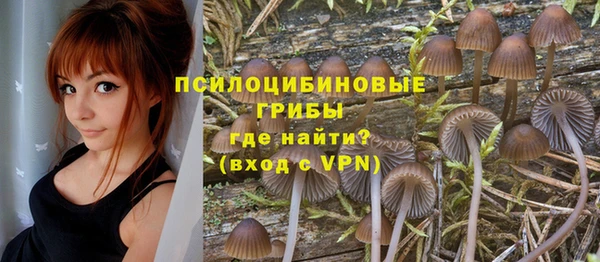 сатива Аркадак