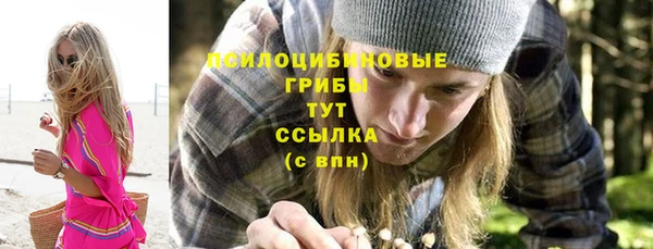 сатива Аркадак