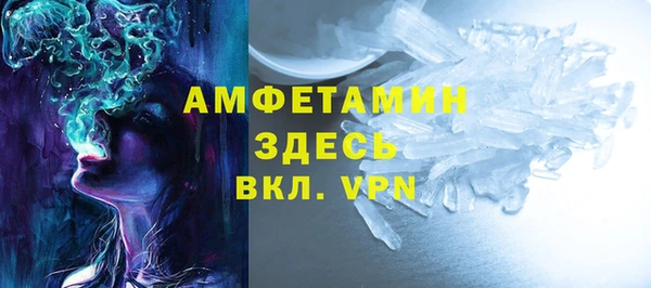 сатива Аркадак