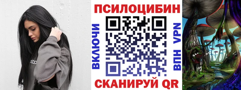 Галлюциногенные грибы GOLDEN TEACHER  Чернушка 